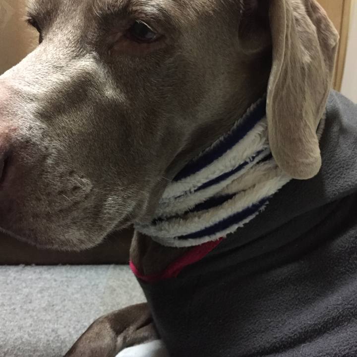 38217efa 154b 475c 9b2e 8c7e4a00e20a