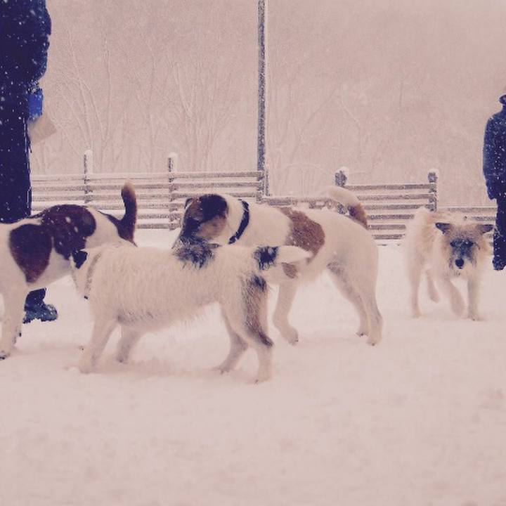 3821af6e 26b5 48d5 844b 95b9dcf98bbb