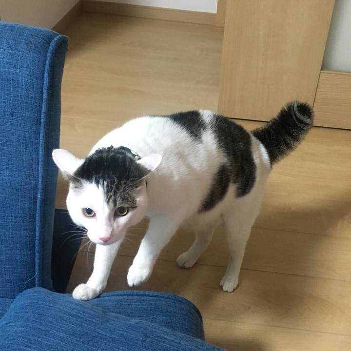 3821b613 9eb8 4438 aa7d 4436086358db