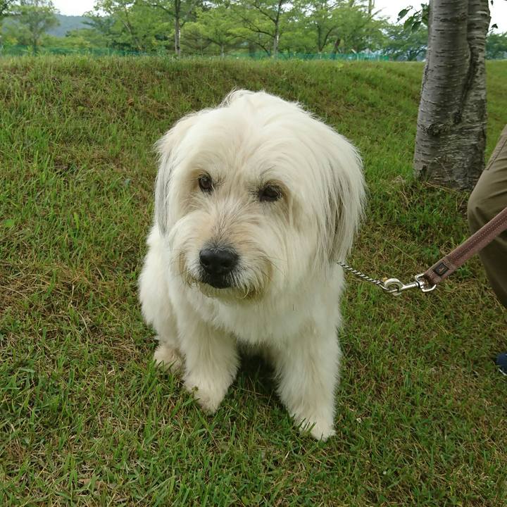 3821dceb afdd 4d13 a36b 0bce8a0e3cc4