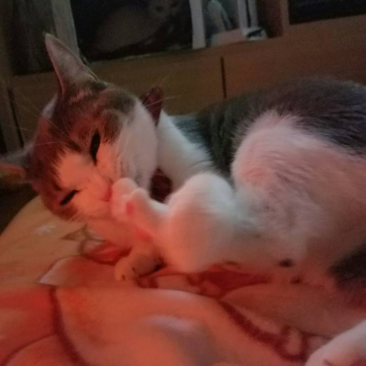 3821f9d1 4566 4c9c b6fd 58fabd8af7dd