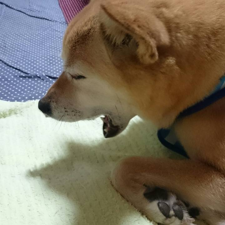 38239039 7911 483f a5f1 f65669d208ee