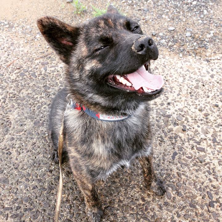 3823db08 1b79 48fa 8db5 8fc9ab1b930f