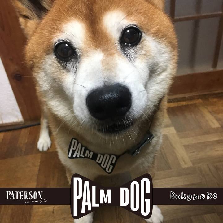 3824030c 0cea 4ab5 be41 40a835473758