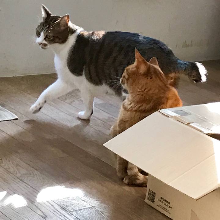 3825279d b668 46c4 9211 b02a3ac6600d