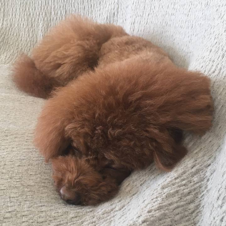 3825c314 aac5 4217 afb1 25a9771303c5