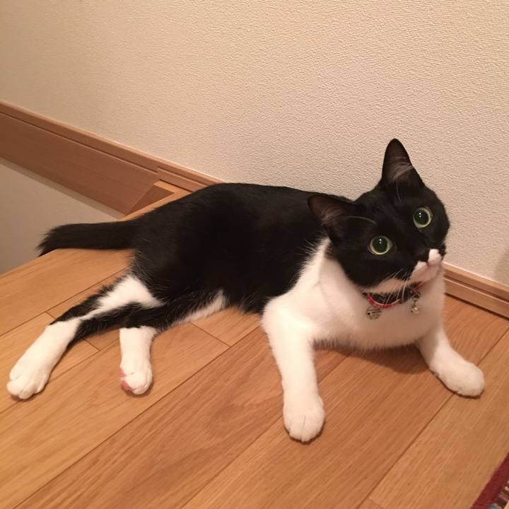 3825e2c2 78ec 49c0 9d57 0e20f525cb67