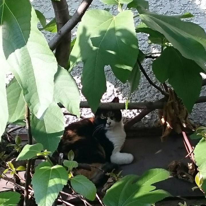 38265679 e12d 4dd4 aa52 32fb7c276fd1