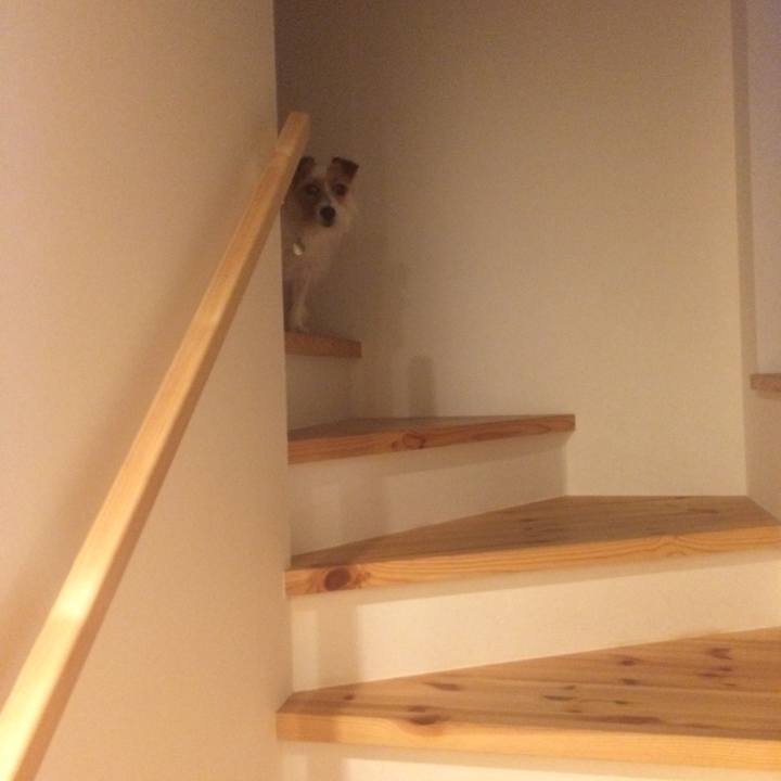 3826e220 39eb 44f7 958f 602e175d85c6