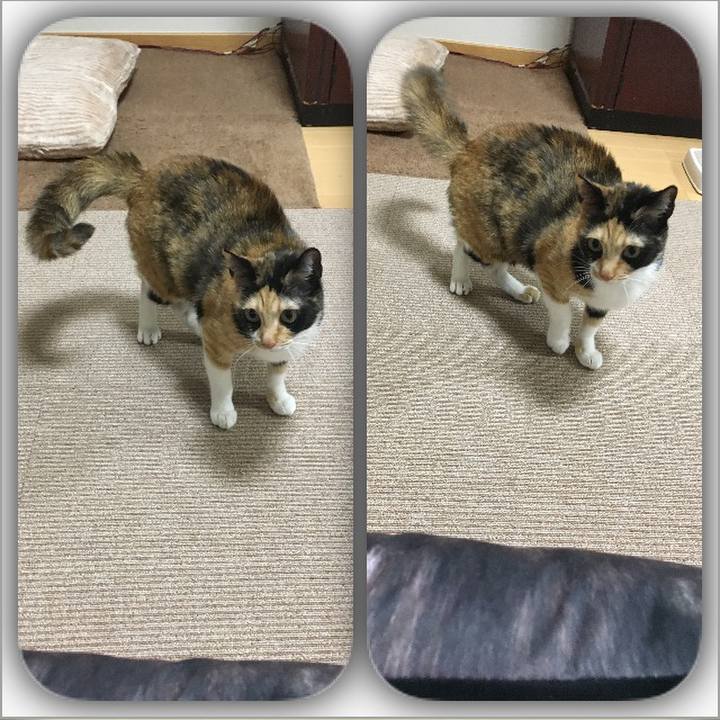 38276246 830b 4f31 842d 332298c94f56