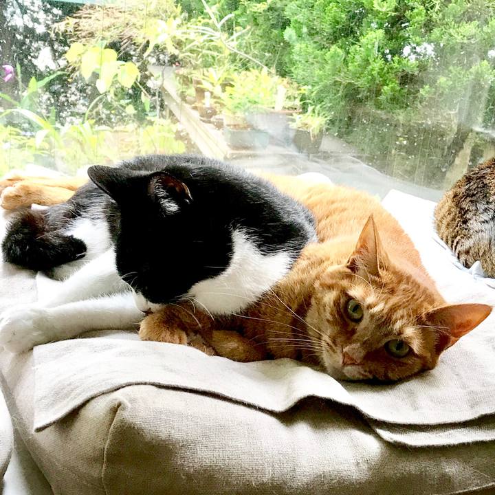 38282e86 d935 489e bec5 73560fde8228