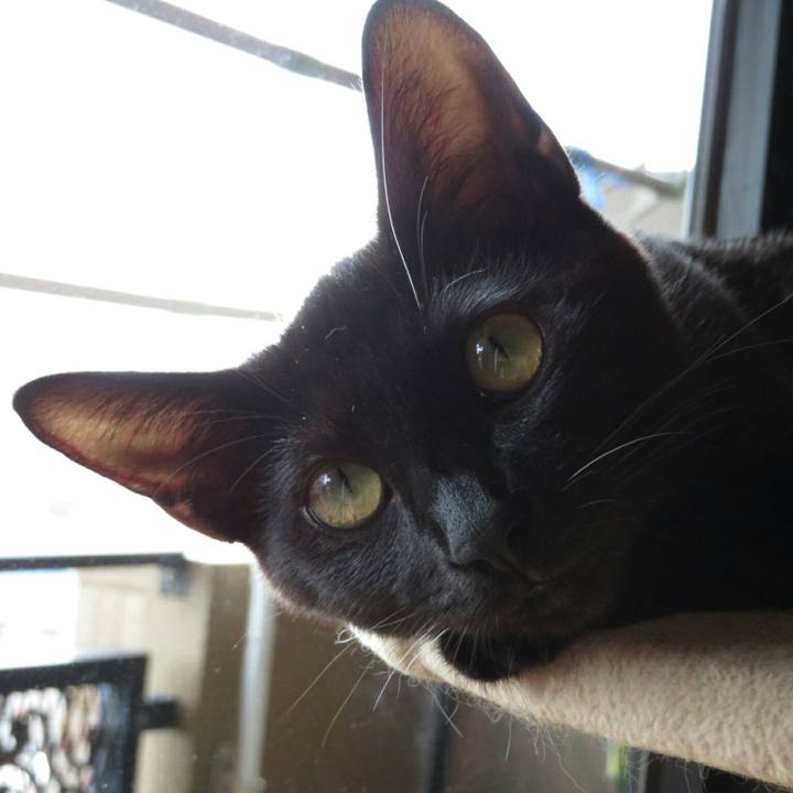 38284c06 cede 423d a637 60d702c14943