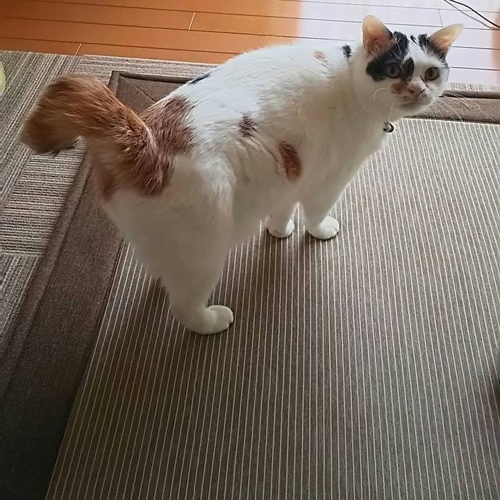 38286912 06ba 4a34 a7e7 87ee31c5cb74