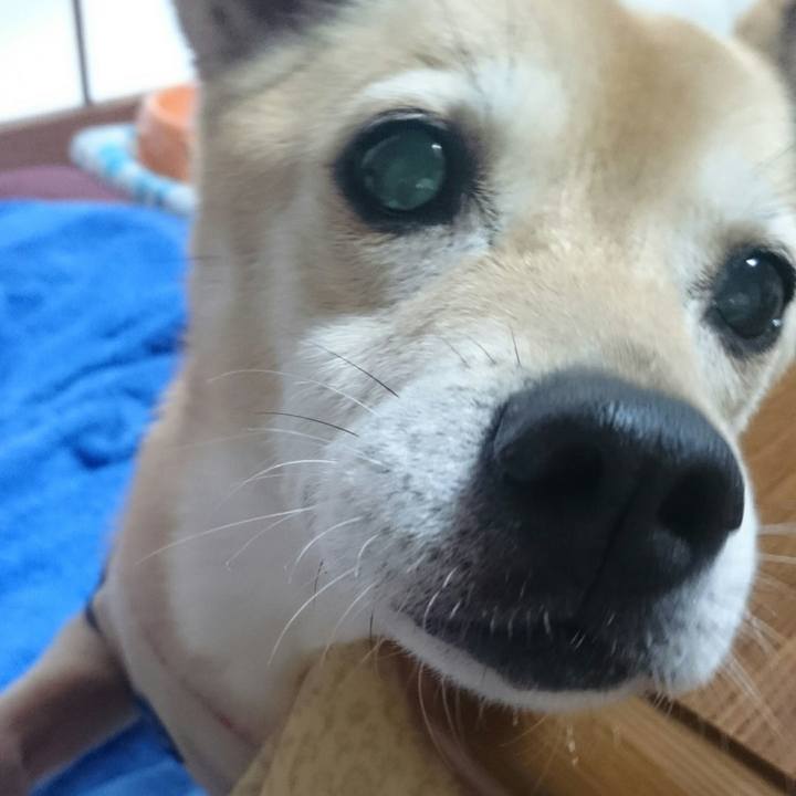 38292cb2 0698 4cfd 8947 f9ccdff439c1