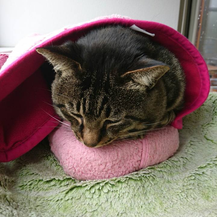 3829b106 7616 453a b48a 7c5ef426e1dd