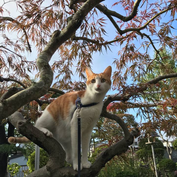 382a308d 5aa5 46e6 8398 0c34cfcd99b0