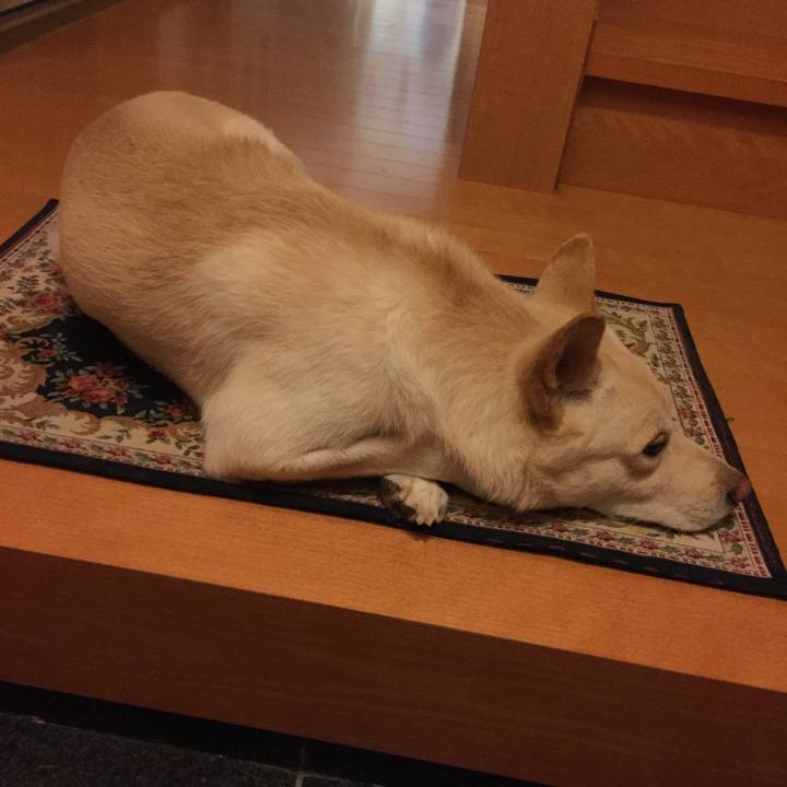 382a5f29 7f6f 494c a684 1050506c7336