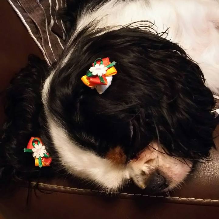 382ade3f 917a 4a5b 8e52 5e6b4dc41463