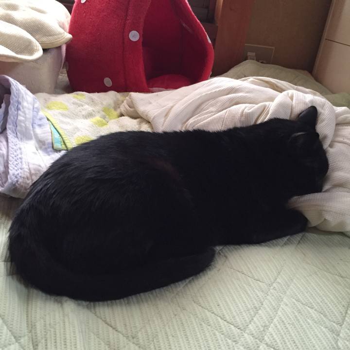 382b375d 3a02 401c a983 c2cacf6040ce