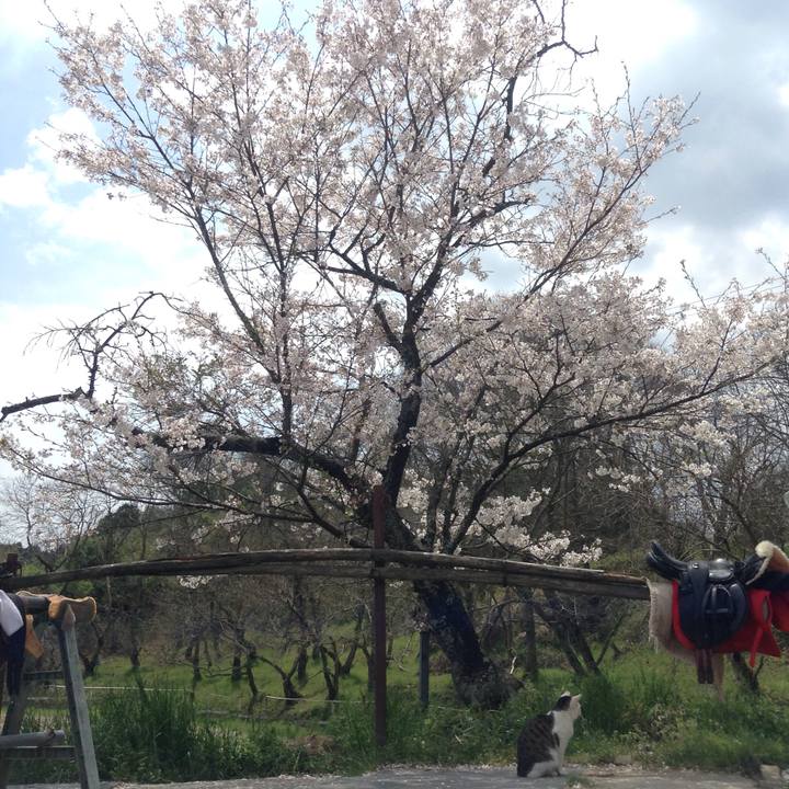 382b4309 dc47 497f be10 620834d41740