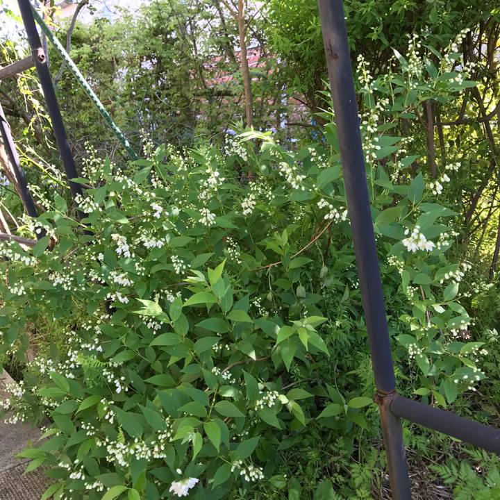 382c2722 4b60 404b 9543 f98fe72c75a4