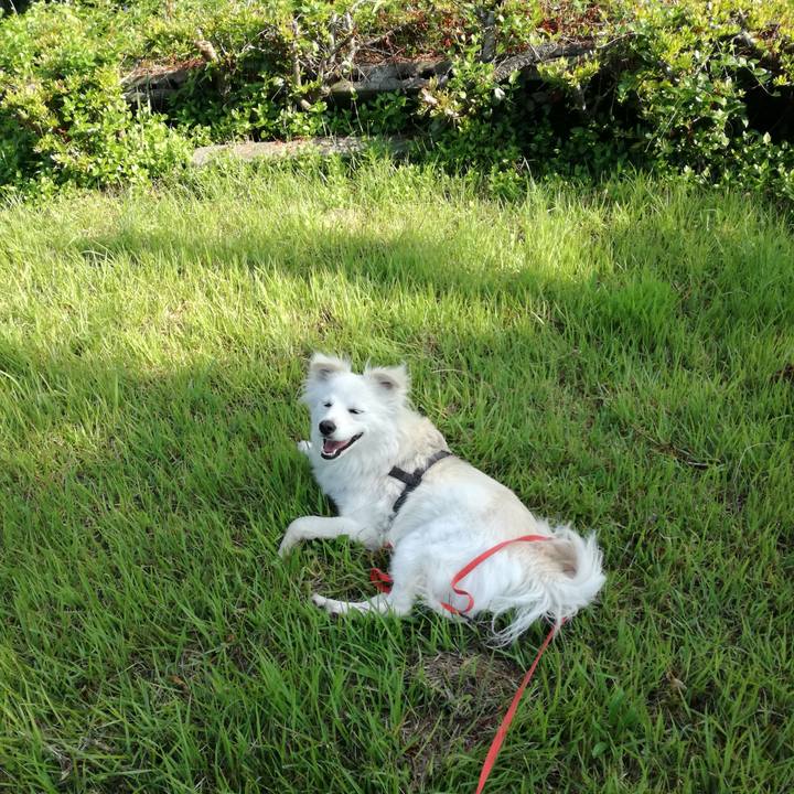 382c536b 890e 4957 8b53 b15366666305