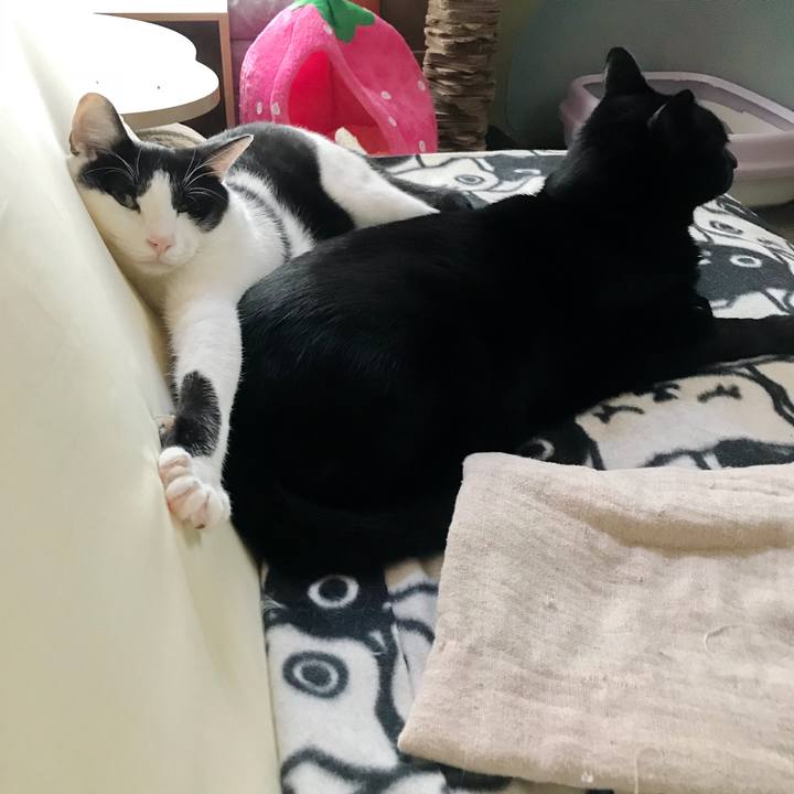 382c960f f866 4440 8ed9 f51db68e05ee