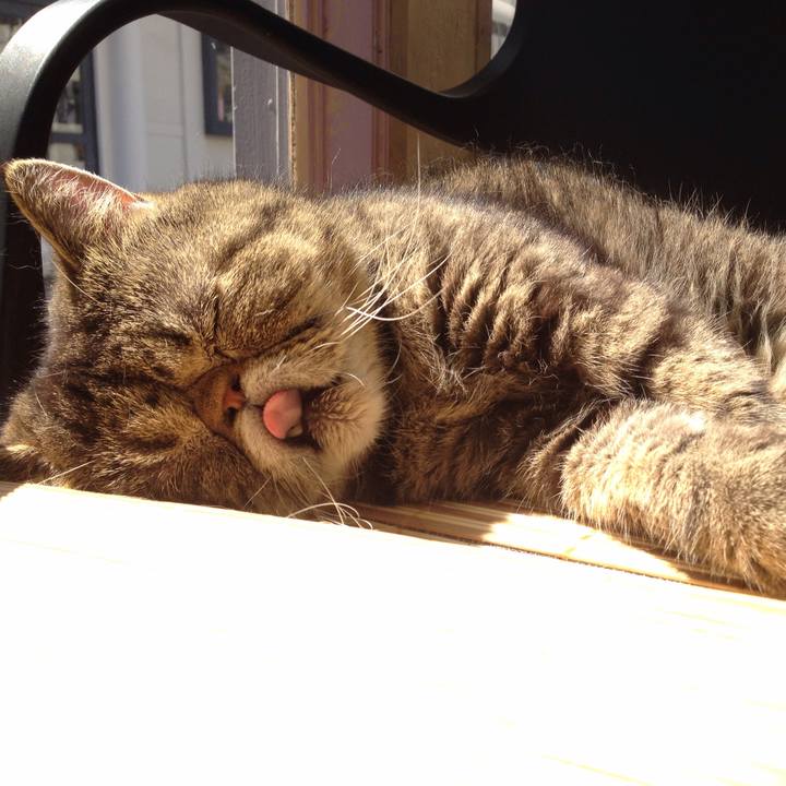 382c9e47 d91a 49b2 ac7b f00db1d4f693