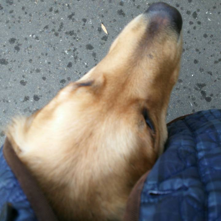 382cf55d 0155 4fa4 96b4 48193cd40b01