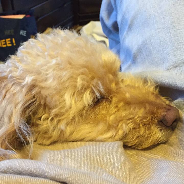 382d9f06 821f 4d68 ad7f f8d1c8efe6ea