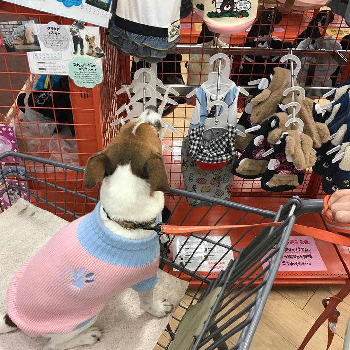 382db7e9 5cb2 498f ab40 95e125a05f50