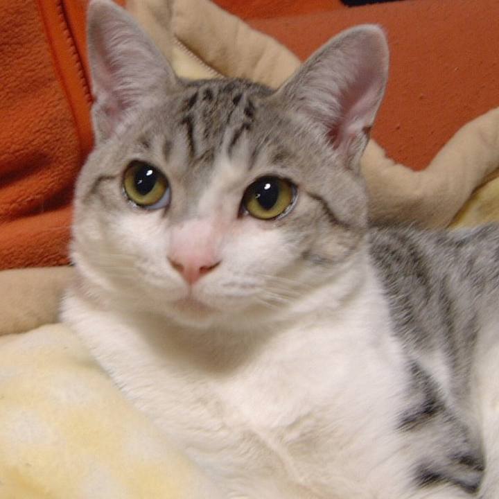 382eb5ed 6b1a 4ece a7f4 53beaf6bf495