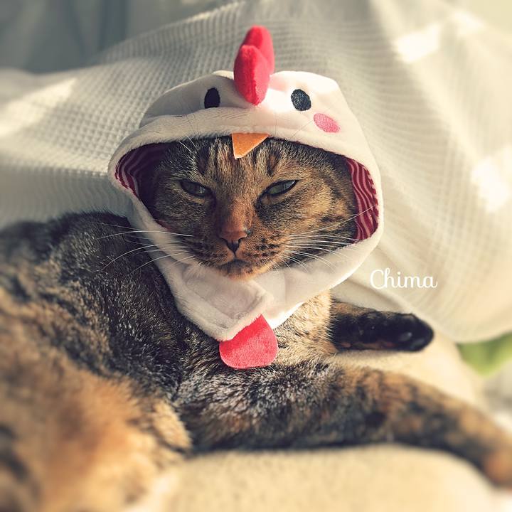 382ed473 9ef7 4b79 b933 d81e2b2e60a2