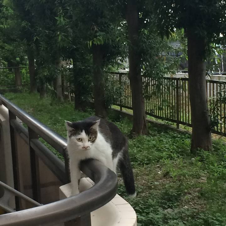 382f2c10 cc95 4bc8 8494 ac564236abcc