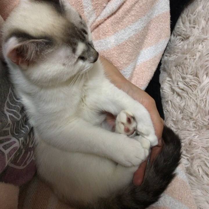 382fa8fe 3fb9 4cd2 80ff 2aa6655c138c