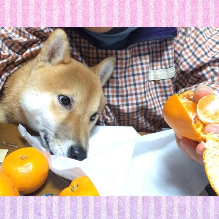 382ff416 7de5 4066 9abb 396b6db16802