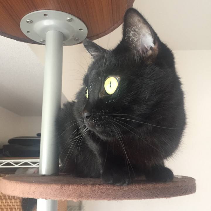 383048fe 258d 4e55 98a0 6a3bfabd2e86