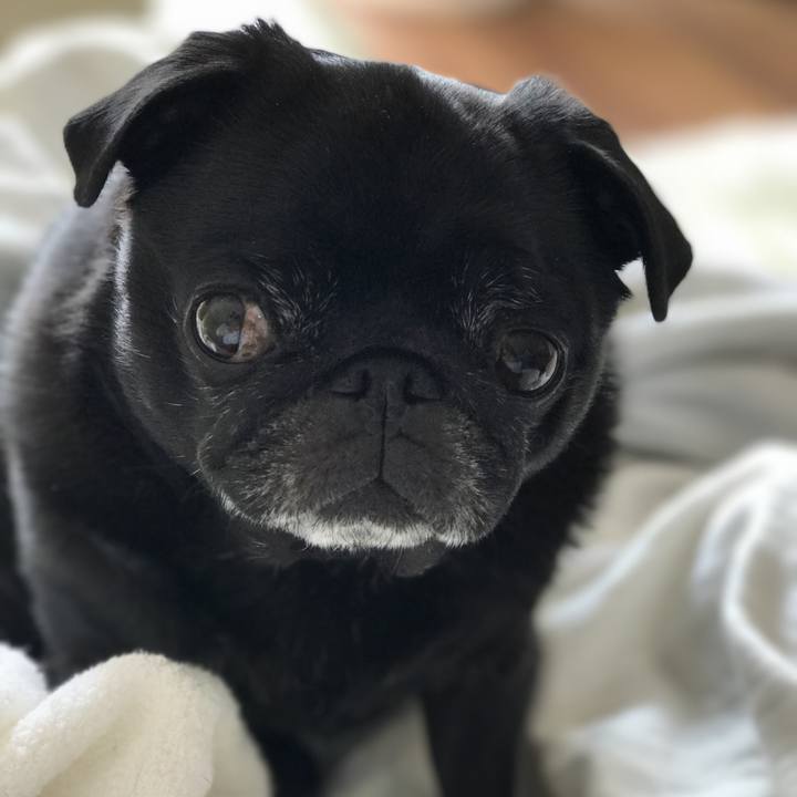 3830a95e 0f59 41ff baa3 bd0299486e43