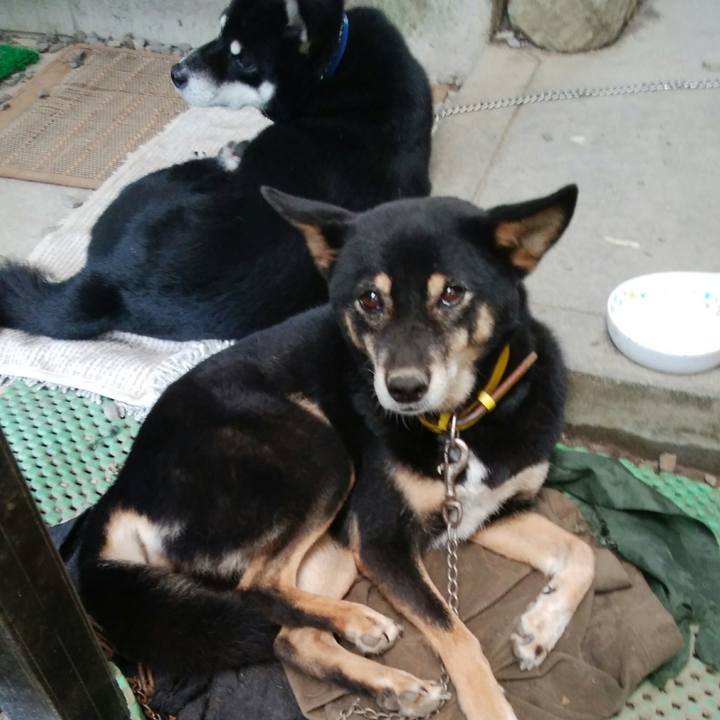 3831ae0d ae32 462b 9083 fbd8f5f388f6