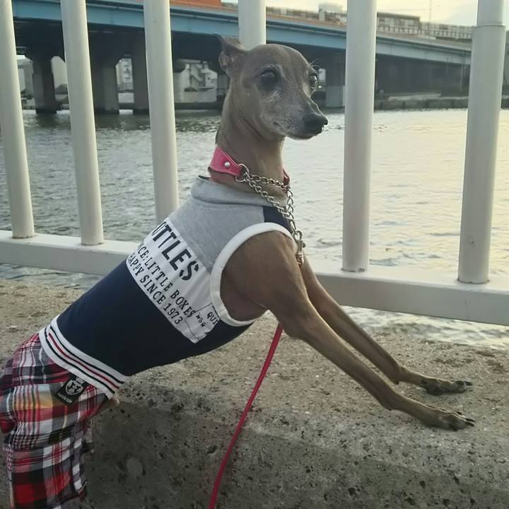 38328eb1 40f3 4a77 8c5f 1d5ceac3d97e