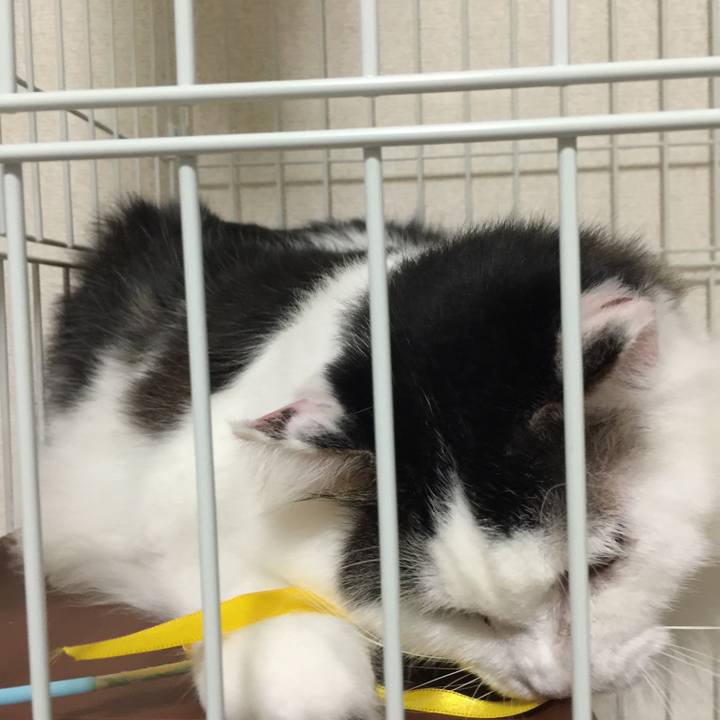 3832942a bb98 4bc6 b1bf 8dfd6c96bf7b