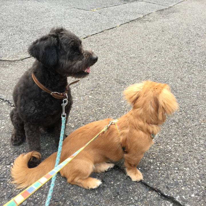 38337211 08f7 4ce3 a8a9 9d81e00696ea