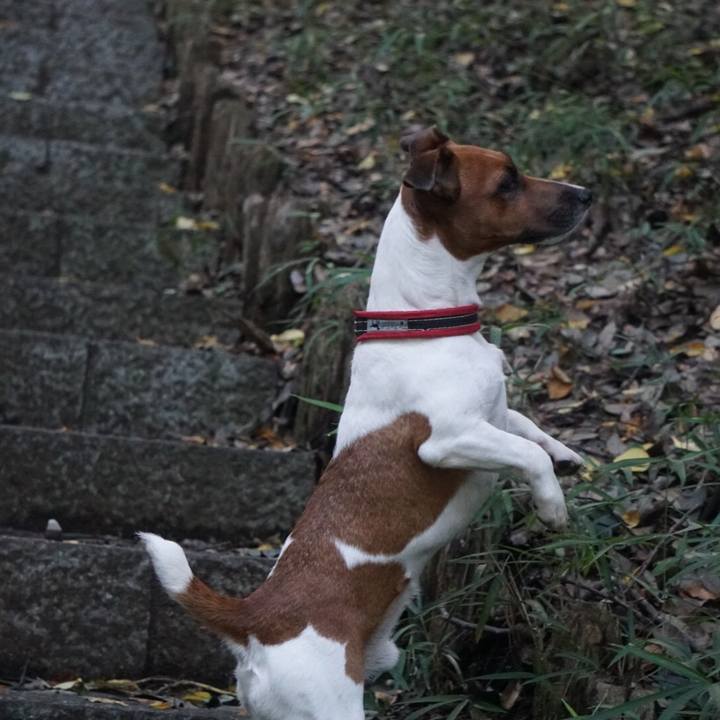 3833f354 51d7 4c0d 82db 794ba6e3e961