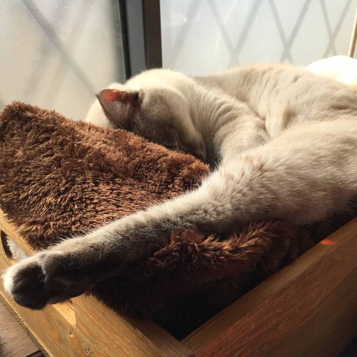 38345940 6dbf 4858 9be1 7084dcdcf634