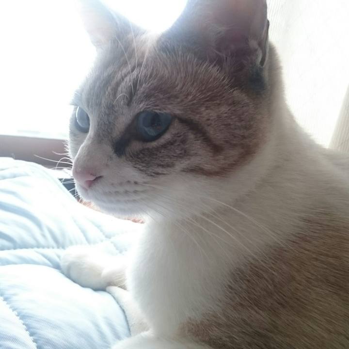 3835997f 195f 47a8 896e 254d9c1fa245