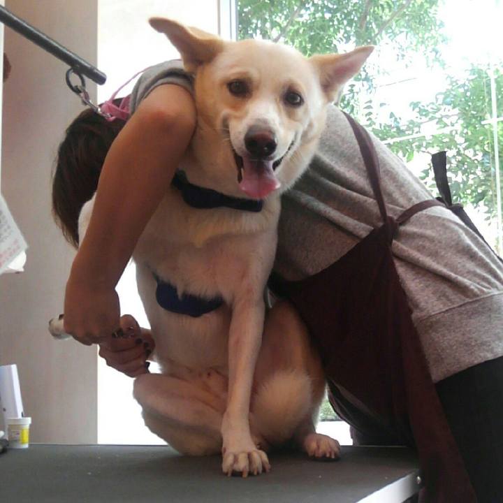 3835fe89 325f 4f18 8155 2e0c69fd8c09