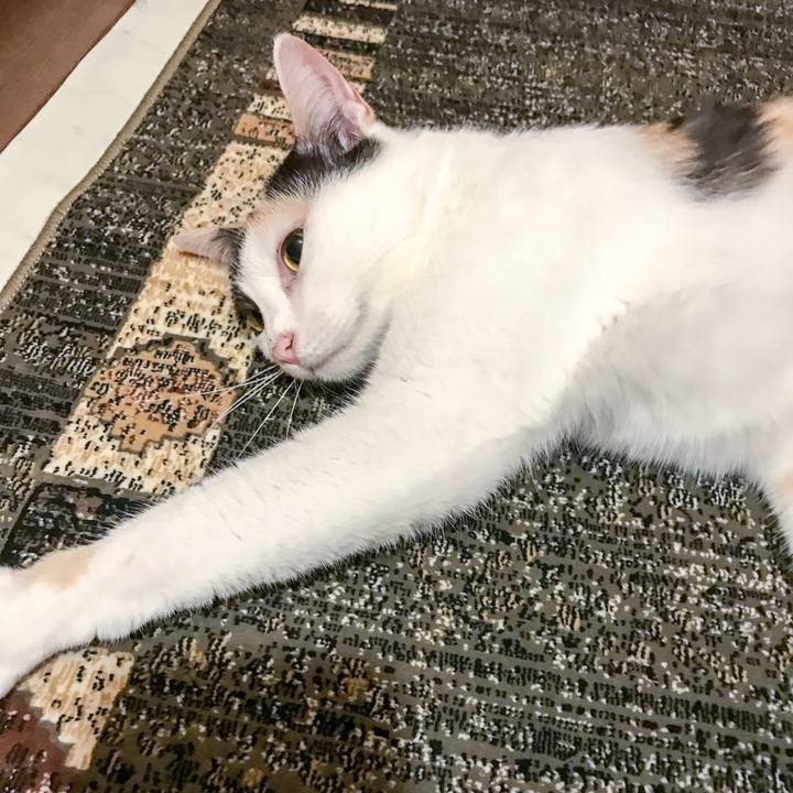 3836374d 7db0 43c1 a2fb 8b9ac7e63504