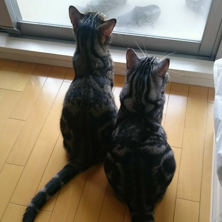 3836ab48 ba3b 4a38 9d56 b388bed82ff3