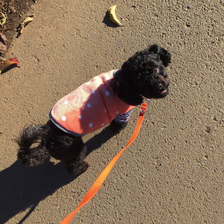 3836d670 4c01 437b 8188 3d6cd8f6dea8