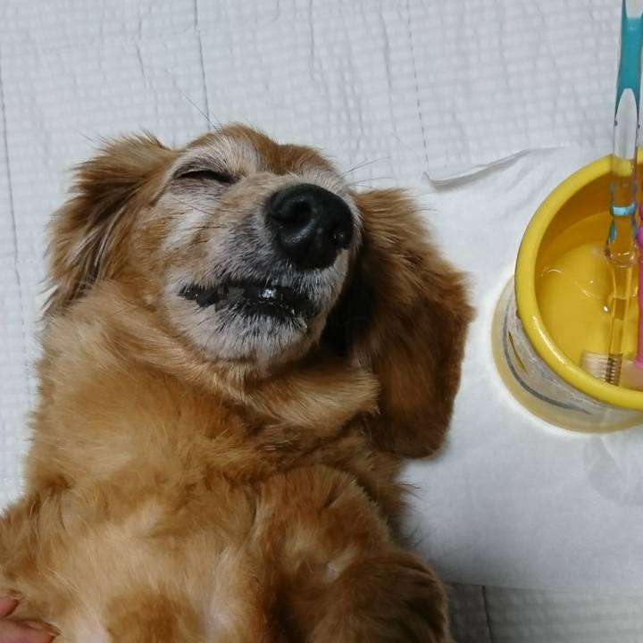 3836dc9e add9 4096 8690 c713aadd4c28